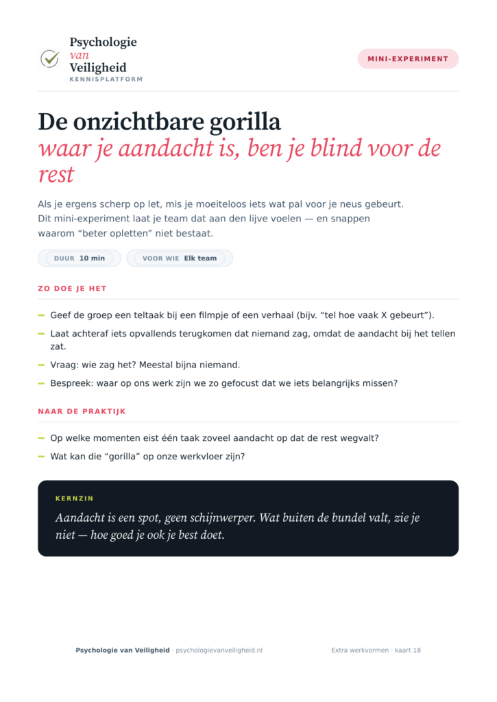 Voorbeeld van De onzichtbare gorilla